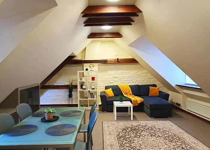 Old Town Charm One Bedroom Spacious Loft Apartment Nearby The Livu Square