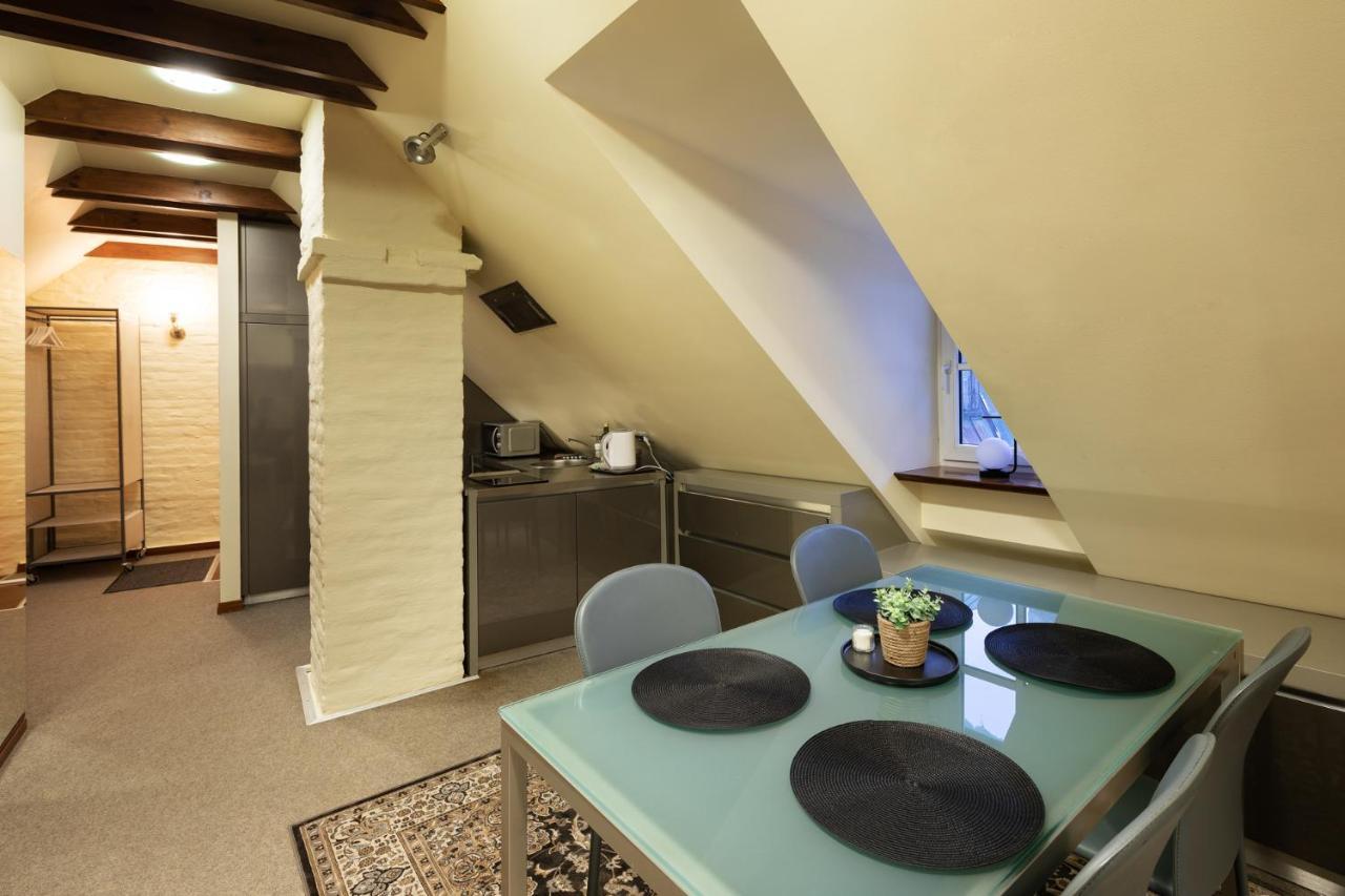 Old Town Charm One Bedroom Spacious Loft Nearby The Livu Square Apartment Riga