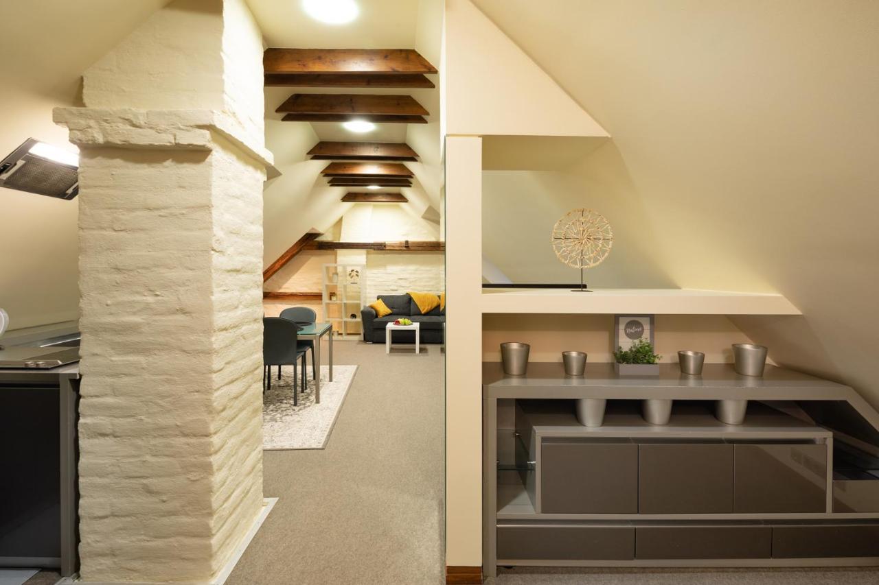 Apartment Old Town Charm One Bedroom Spacious Loft Nearby The Livu Square *