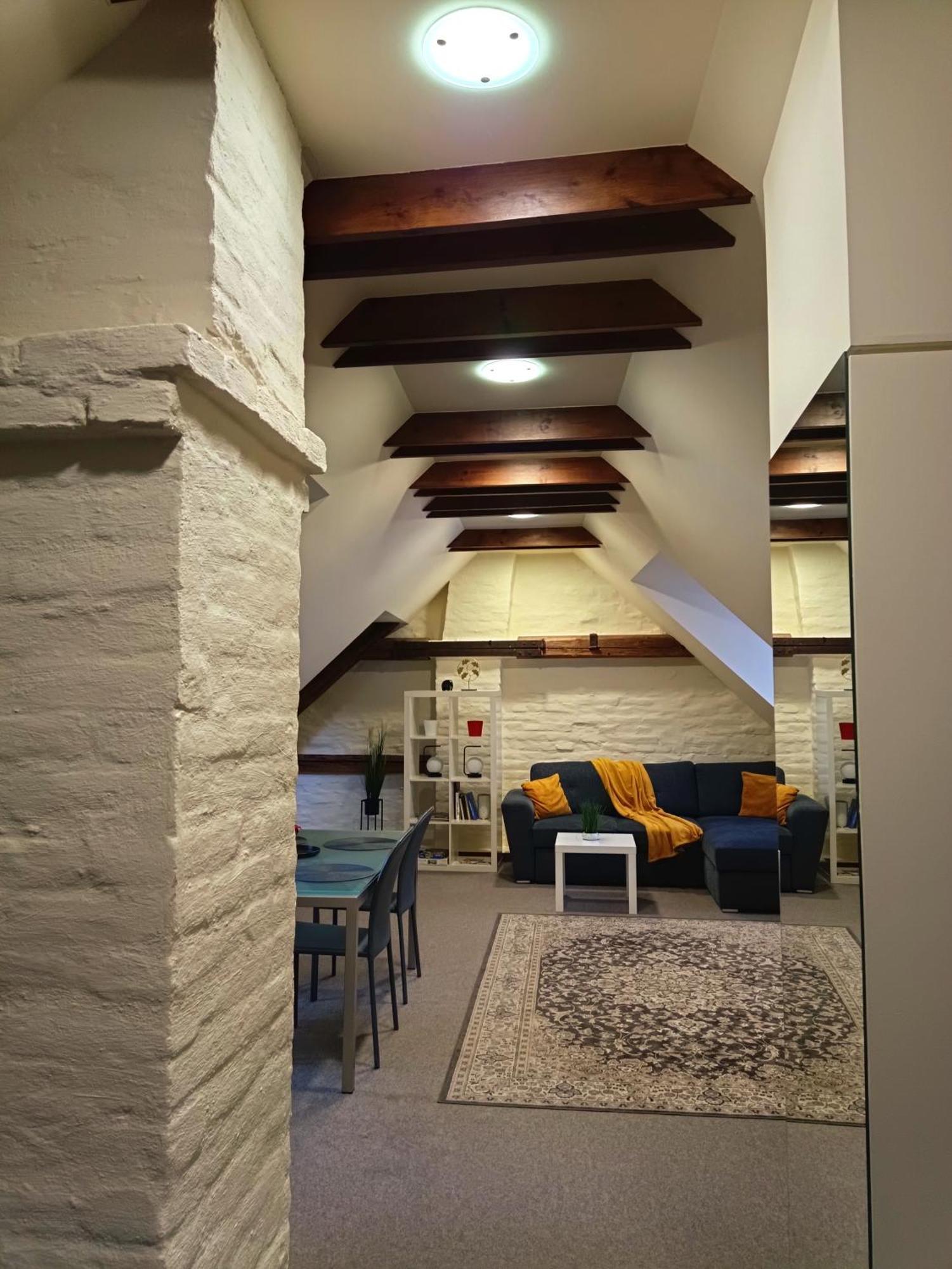 Old Town Charm One Bedroom Spacious Loft Nearby The Livu Square Apartment *