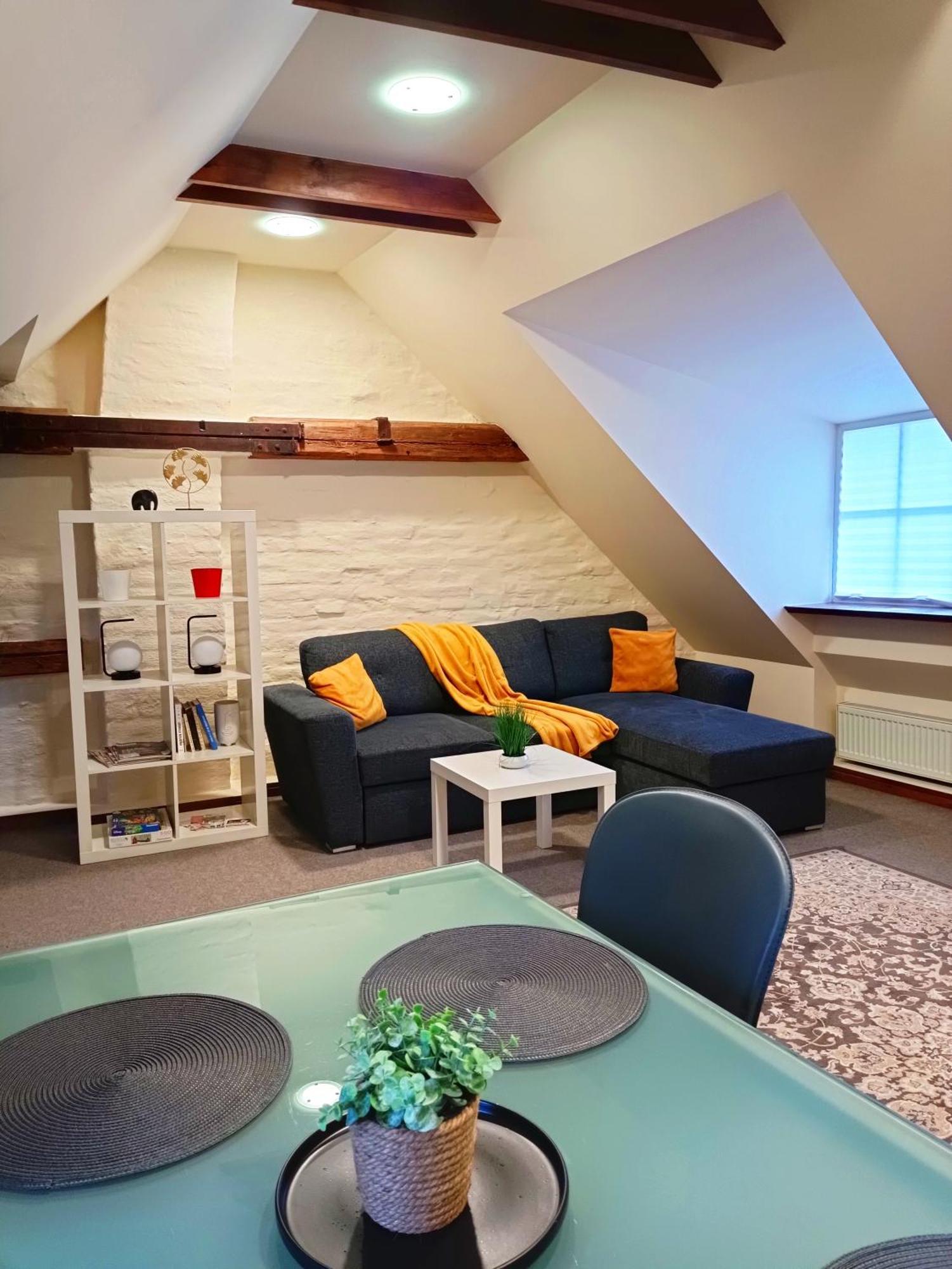 Old Town Charm One Bedroom Spacious Loft Nearby The Livu Square Apartment Riga